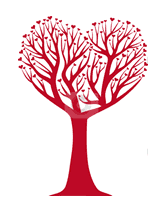 Cardiac Rehabilitation