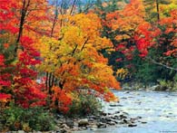 2016 Fall Fever Critical Care Conference